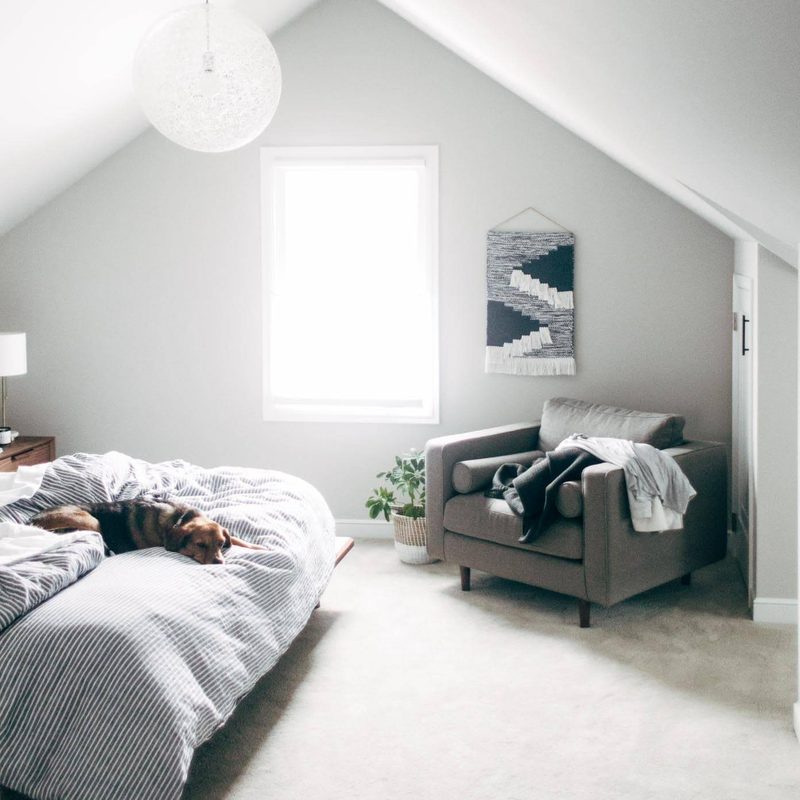 Bedroom upstairs with Sage on the bed.
