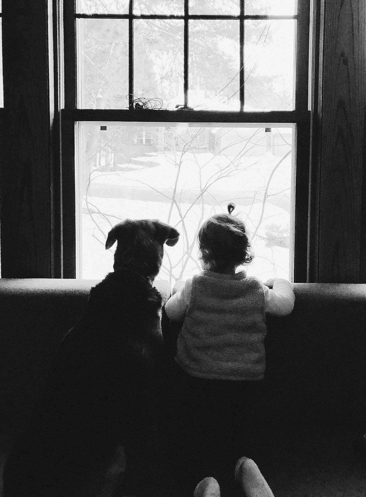 A girl and a dog peer out of the window.