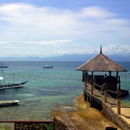 Moalboal by the sea.