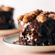Turtle cake on a plate