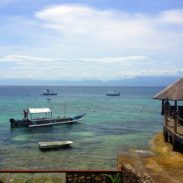 Moalboal by the sea.